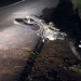 Motociclista morre após atropelar pedestre