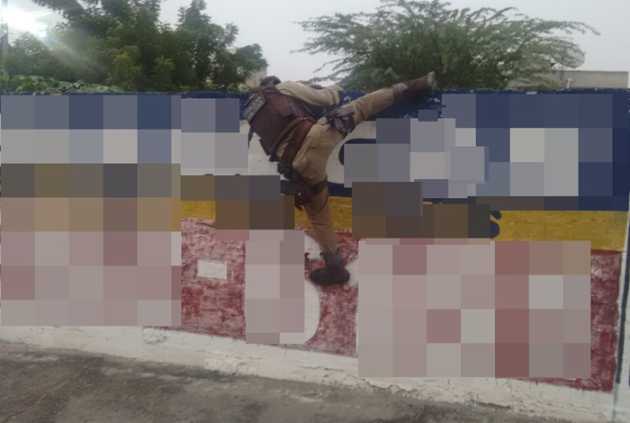 PM escala muro para arrancar pés de maconha em terreno