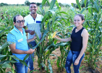 Festas juninas têm sabor da agricultura familiar