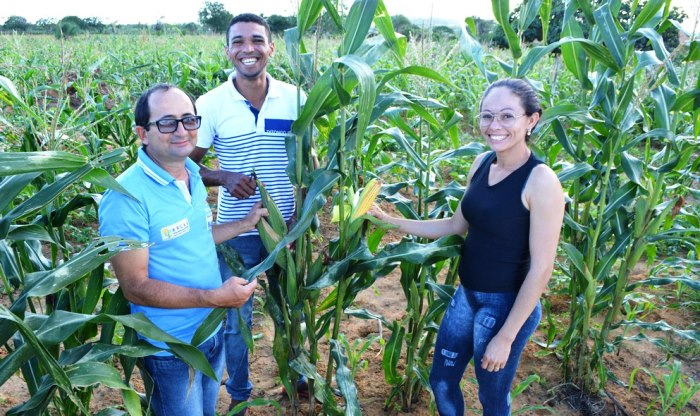 Festas juninas têm sabor da agricultura familiar
