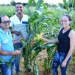 Festas juninas têm sabor da agricultura familiar