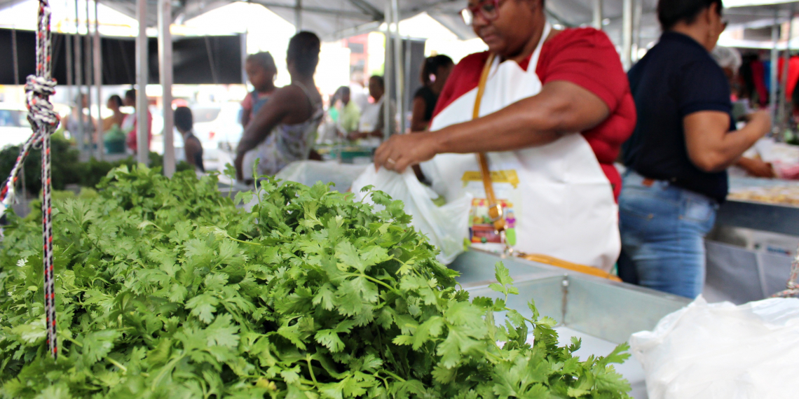 Feira Agroecológica é implantada em Conceição do Coité