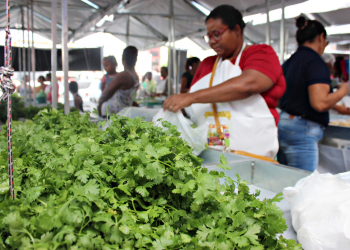 Feira Agroecológica é implantada em Conceição do Coité 