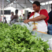 Feira Agroecológica é implantada em Conceição do Coité 