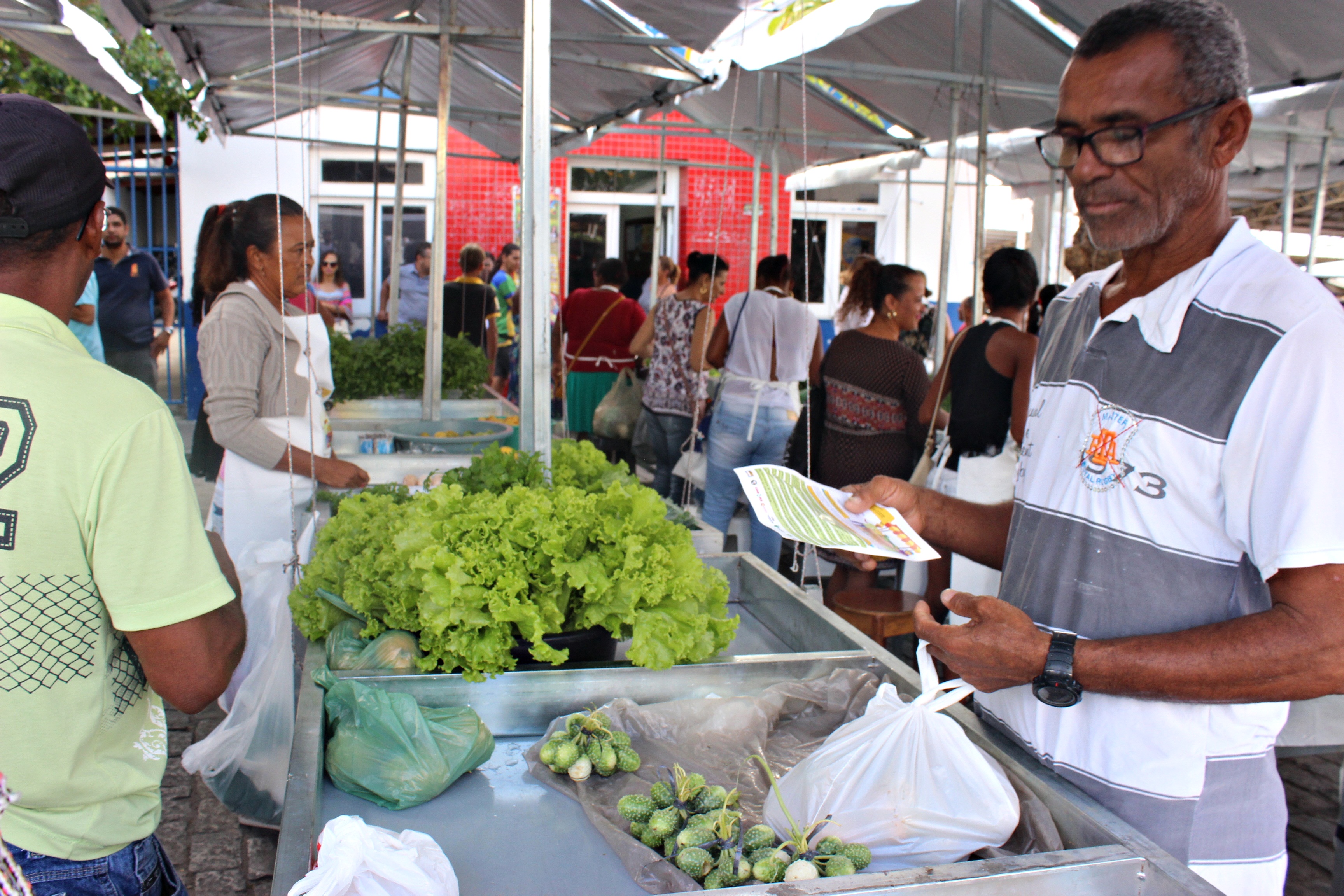 Feira Agroecológica é implantada em Conceição do Coité 