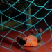Homem natural de Euclides da Cunha fica tetraplégico após dar cambalhota em ‘pula-pula’