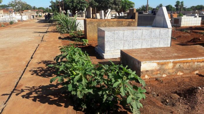 Terra fértil: cemitério está sendo usado para o cultivo de hortaliças para vendas ao consumo humano