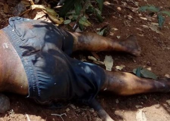 Araci – Corpo de homem é encontrado em estado de decomposição próximo ao limite com Coité