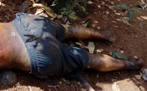 Araci – Corpo de homem é encontrado em estado de decomposição próximo ao limite com Coité