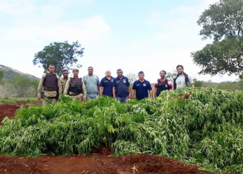 Policia encontra três corpos dentro de poço; no mesmo local havia arma e plantação de maconha