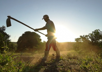 Governo realiza Cadastro Ambiental Rural gratuito no interior do Estado