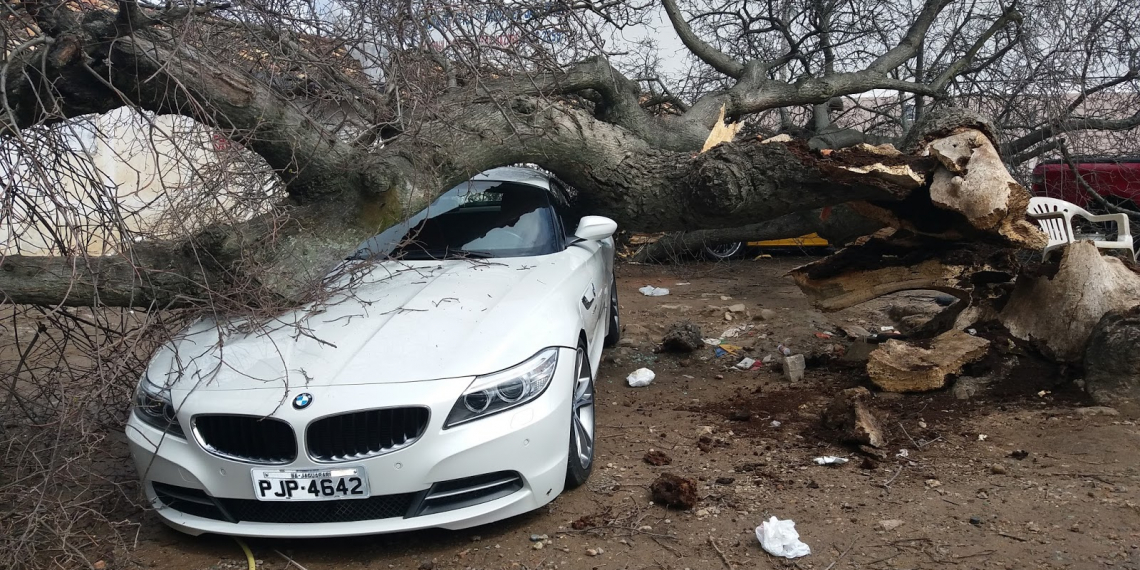 Árvore cai sobre veículos no centro de Jacobina; BMW está entre os danificados