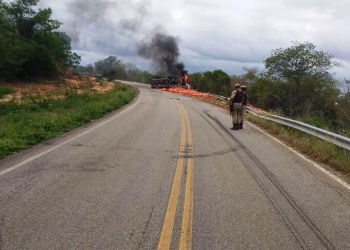 Caminhoneiro morre carbonizado em acidente na BA 131