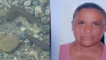 Araci – Gari é morta com 6 tiros, acusada de ter furtado dos peixinhos do vizinho