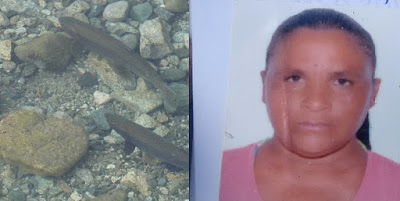 Araci – Gari é morta com 6 tiros, acusada de ter furtado dos peixinhos do vizinho