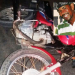 Motociclista morre em acidente de moto na BA 130