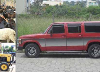 De uma só vez, bandidos furtam carro, trator e ovelhas