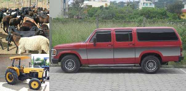 De uma só vez, bandidos furtam carro, trator e ovelhas