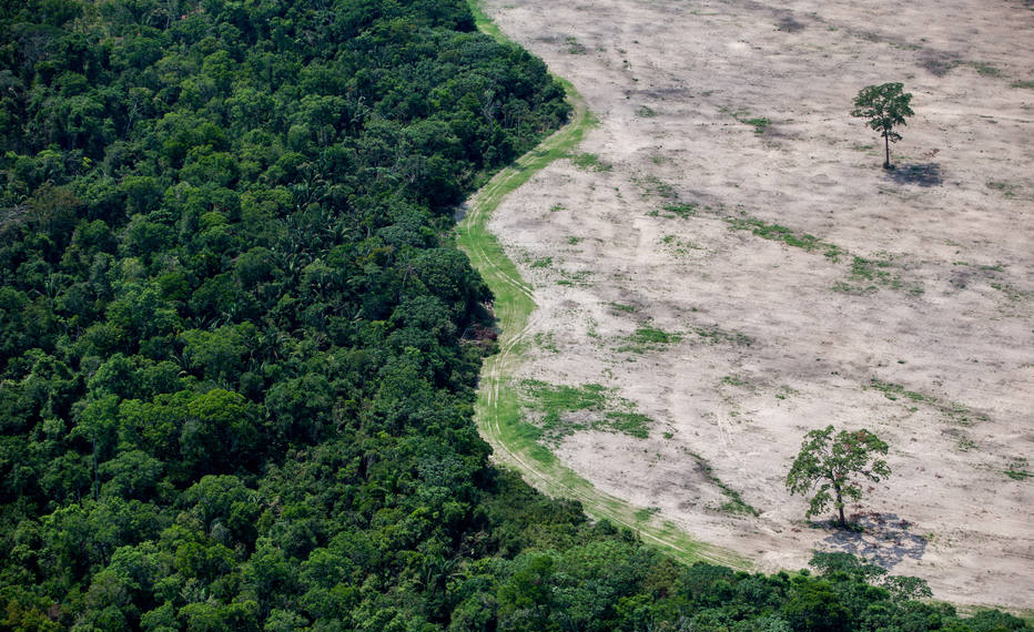 Após repercussão negativa, governo revoga decreto que acaba com reserva na Amazônia