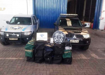 Porto de Salvador: 441 kg de cocaína escondida dentro de carga de madeira são apreendidos