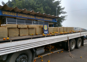 Homem é preso com 2 toneladas de maconha escondidas em carga de laranja