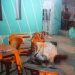 Coité – Homem é executado a tiros dentro de bar ás margens da BA 409