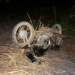 Jovem morre após moto bater em cavalo no oeste da Bahia