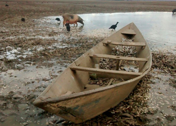 Maior lagoa da bacia do São Francisco seca no semiárido baiano