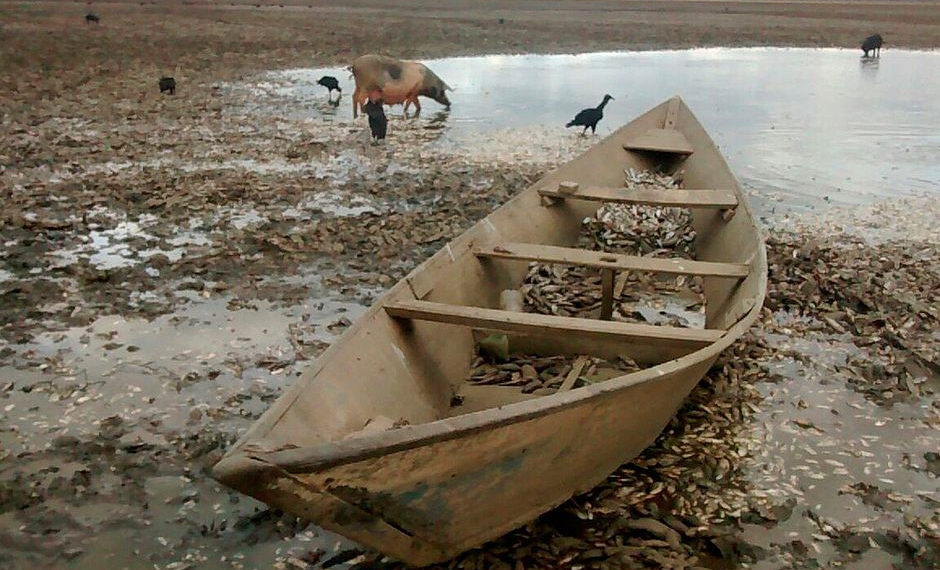 Maior lagoa da bacia do São Francisco seca no semiárido baiano