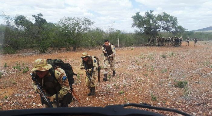 Polícia descobre plantação com 30 toneladas de maconha no Norte da Bahia