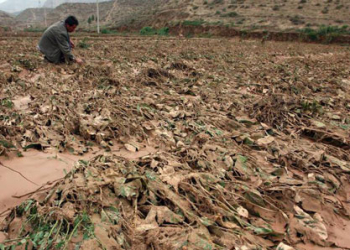 Brasil tem 23% das cidades em situação de emergência