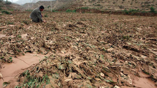 Brasil tem 23% das cidades em situação de emergência