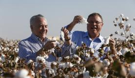 Temer diz que vai recuperar grau de investimento no país em breve