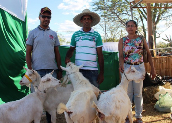 Expojacuípe revela a diversidade e as novas perspectivas para a agricultura familiar