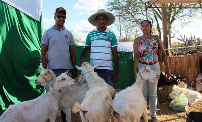 Expojacuípe revela a diversidade e as novas perspectivas para a agricultura familiar