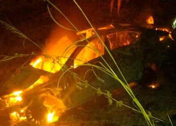 Jovem morre carbonizada após carro bater em árvore e pegar fogo