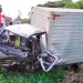 Motorista de caminhão-baú morre após batida frontal com carro na BR-415, no sul da Bahia
