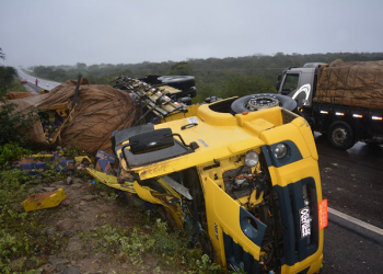 Caminhão carregado de manga tomba ao tentar desviar de animais; diz condutor