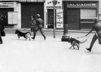 43% dos brasileiros defendem a volta da intervenção militar, diz pesquisa