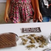 Casal de jovens de apenas 15 anos é flagrado com certa quantidade de droga em Coité