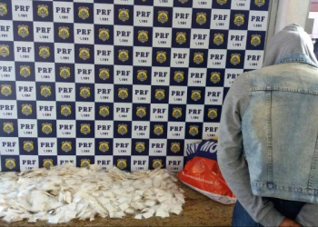 Mulher é presa com mais de 2 mil papelotes de cocaína em Vitória da Conquista; droga estava sendo levada para Monte Santo