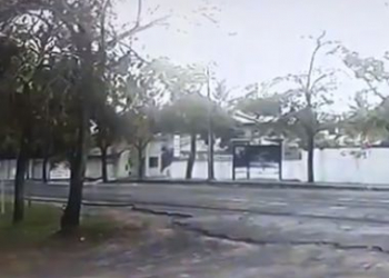 Professor da Uesb morre após carro sair da pista e bater em árvores