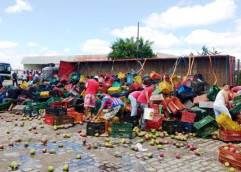 Caminhão carregado de mangas tomba na BR 407;motorista saiu ileso mas ficou revoltado pelo saque da carga