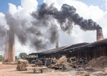 DTE incinera mais de uma tonelada de drogas em Feira de Santana