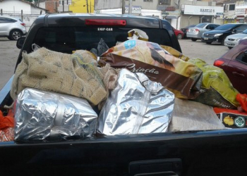 Polícia Civil incinera mais de uma tonelada de drogas em Feira de Santana