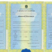 Veja mudanças nas certidões de nascimento, casamento e óbito que passam a valer nesta terça