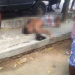 Policia registra homicídio no Bairro Juazeiro, em Valente