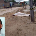 Homem é executado a tiros na zona rural de Araci