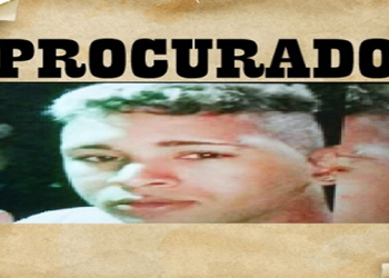 Criminoso mata dois e deixa dois feridos em Campo Formoso