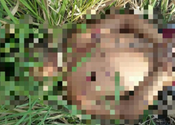 Morador de Serra Preta é encontrado morto a tiros na BA 052